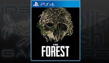 THE FOREST